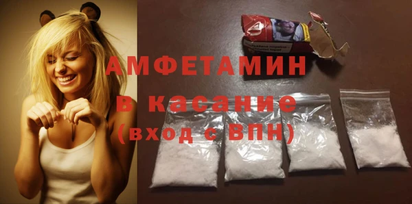 гашик Алексин