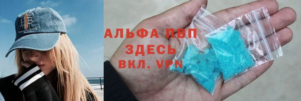 гашик Алексин