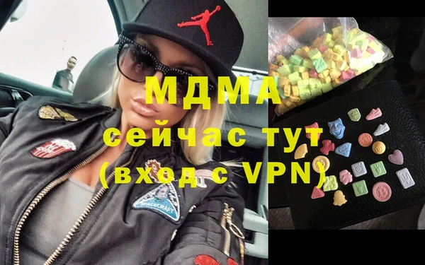 гашик Алексин