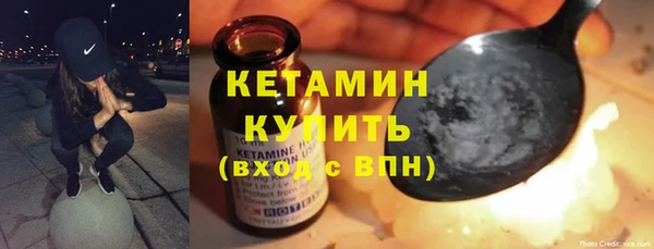 гашик Алексин