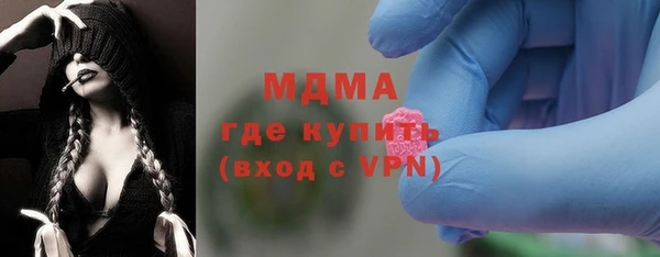 гашик Алексин