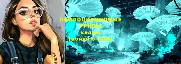 хмурый Алексеевка