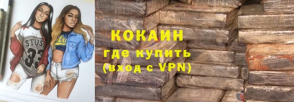 гашик Алексин