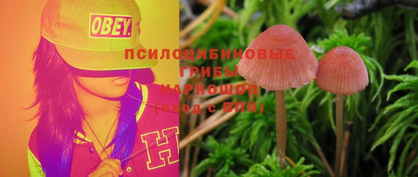 хмурый Алексеевка