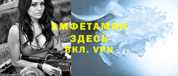 гашик Алексин