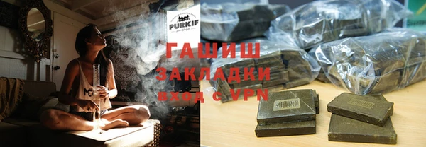 гашик Алексин