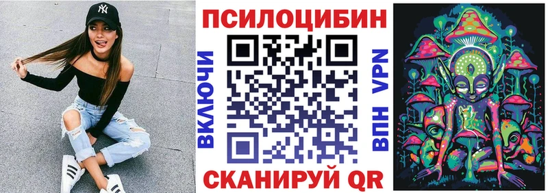 Псилоцибиновые грибы Psilocybe  hydra tor  Камешково 